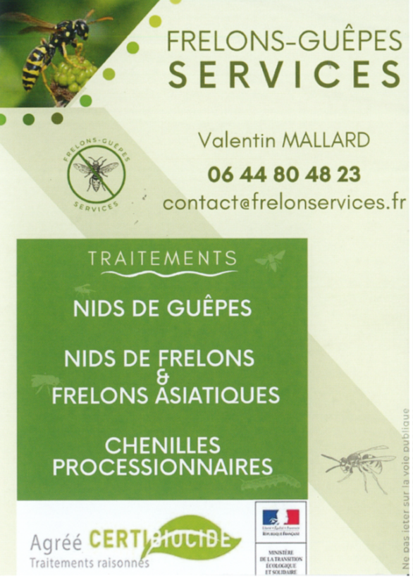 Frelons-guêpes SERVICES