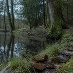 Lac de la goulette Morvan : étang de 1,65 ha, pêche réglementée