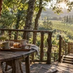 Cabane de viré pour un séjour en famille, vue terrasse dans les arbres
